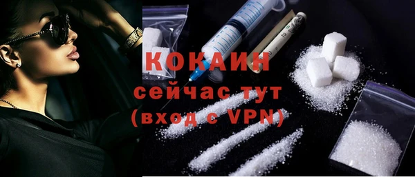 сатива Абинск