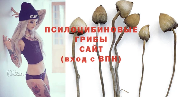 сатива Абинск