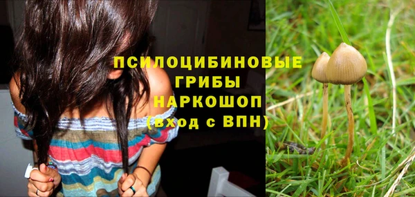 сатива Абинск