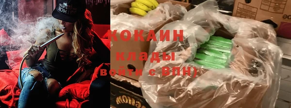 сатива Абинск